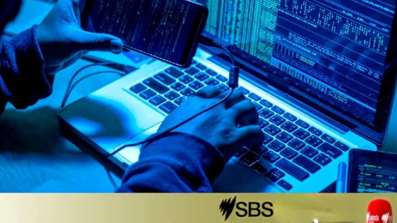 cyber (Large).jpg