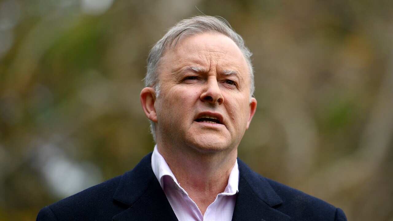 Opposition Leader Anthony Albanese addresses media in Sydney, Friday, May 22, 2020. (AAP Image/Dan Himbrechts) NO ARCHIVING