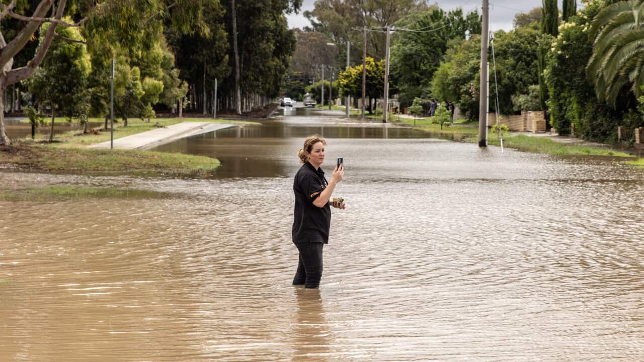 VICTORIA HEAVY RAINFALL
