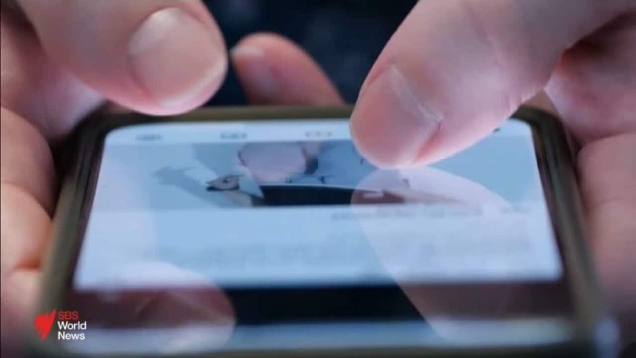 A new study suggests using social media can cause crucial brain activity levels to slump within minutes.