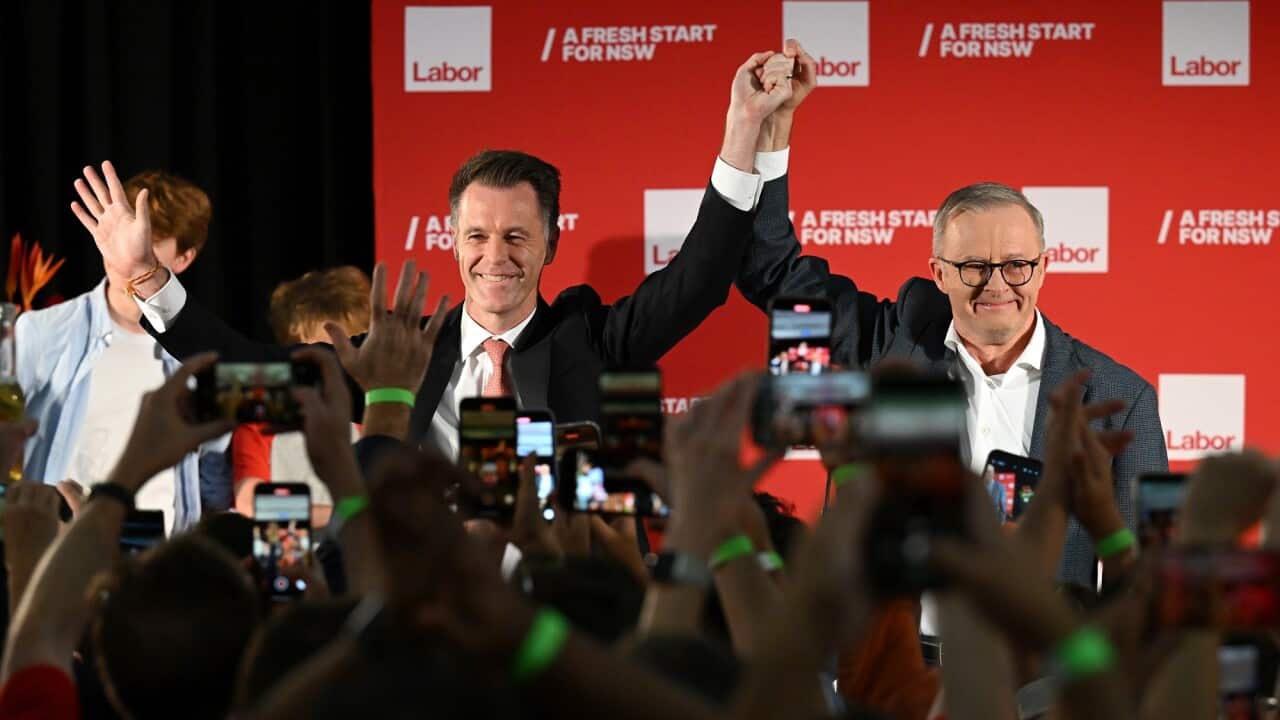 NSW Labor Leader Chris Minns links hands with Prime Minister Anthony Albanese in a gesture of celebration.