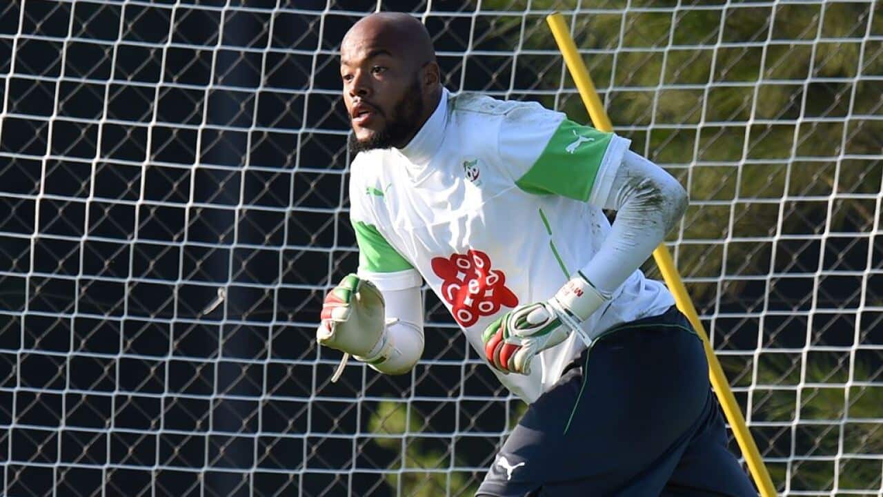 Raïs M'Bolhi