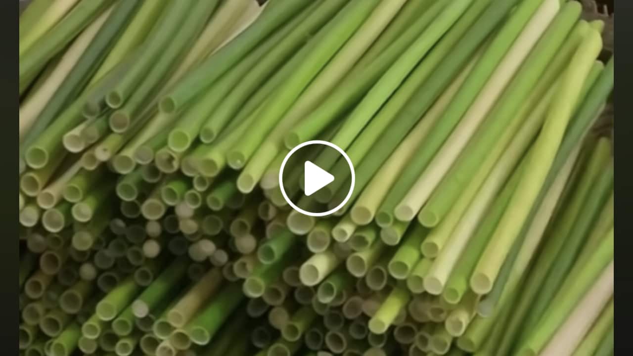 Grass straws