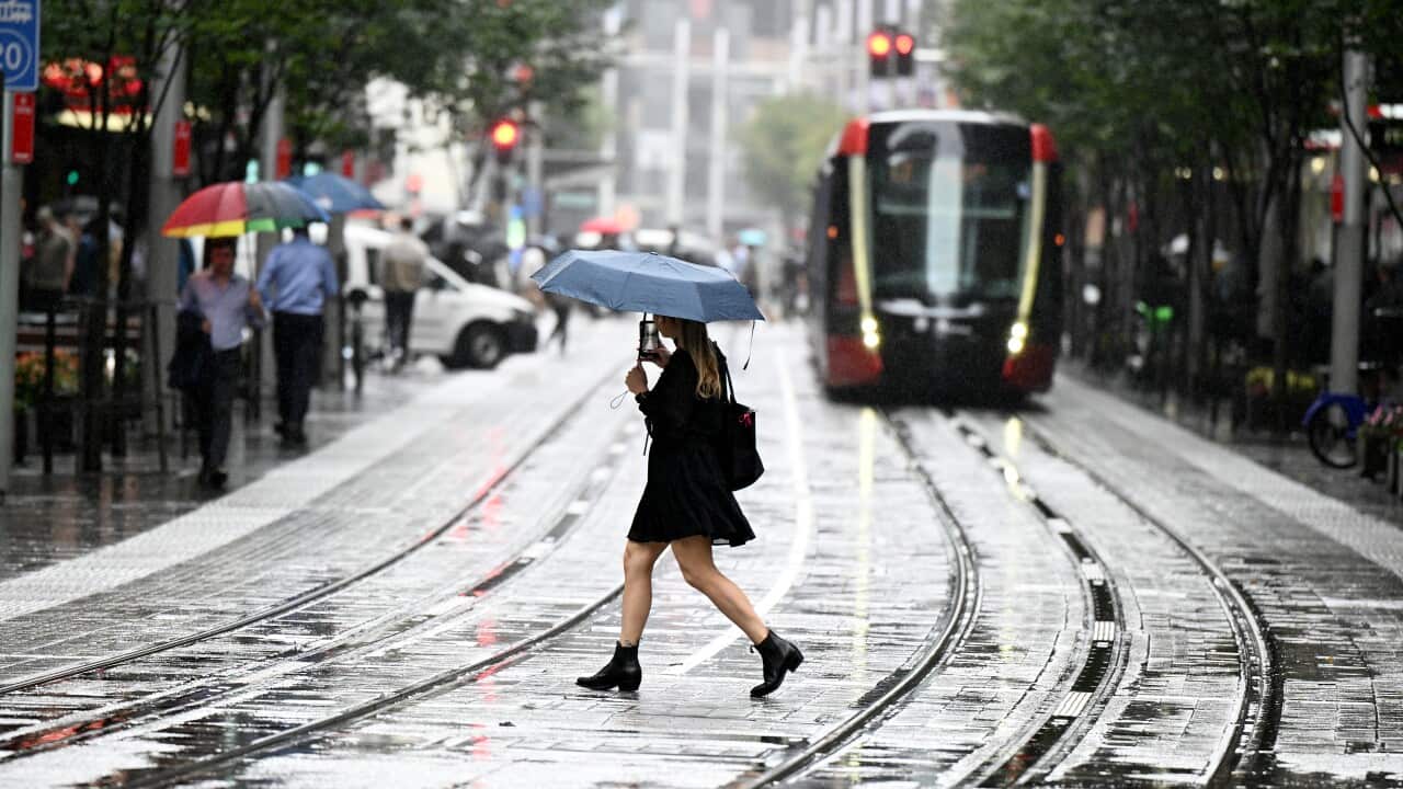A woman holding an umbrella crosses a wet road with trams in the background.