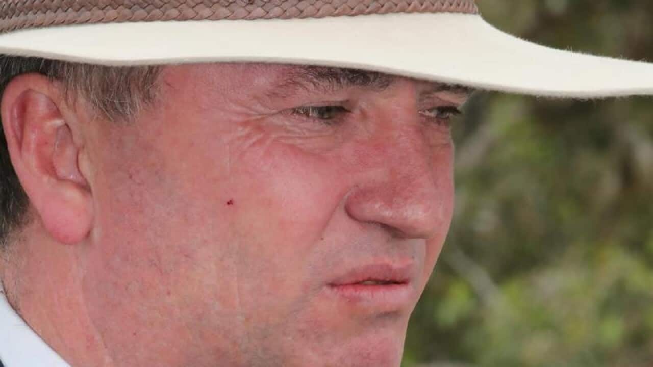 A Nationals MP says whoever replaces Barnaby Joyce must try to bring the party back together.