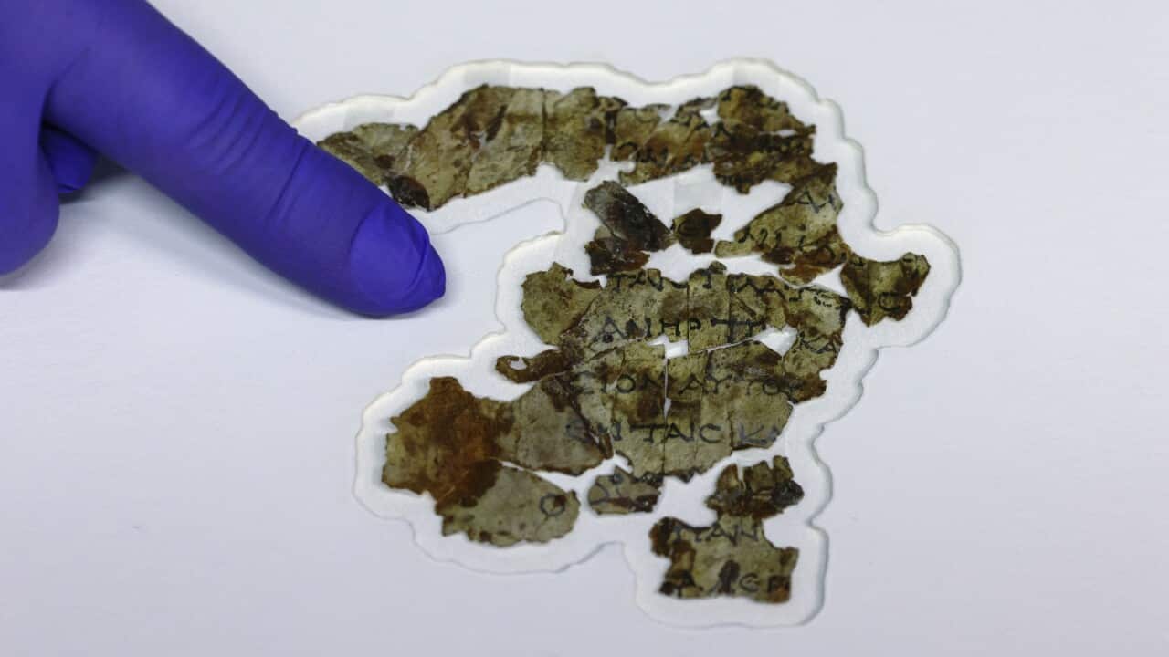 Israel Antiquities Authority (IAA) conservator Tanya Bitler displays recently-discovered 2000-year-old biblical scroll fragments from the Bar Kochba period.