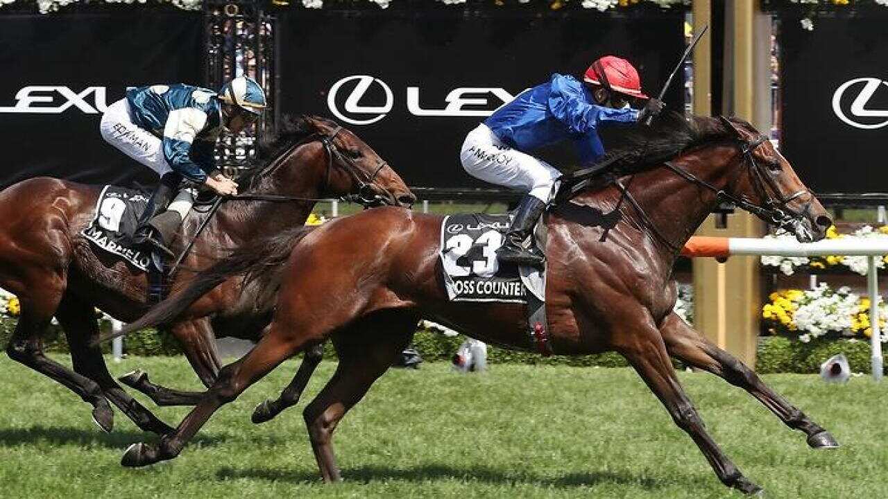 Jockey Kerrin McEvoy rides Cross Counter to victory