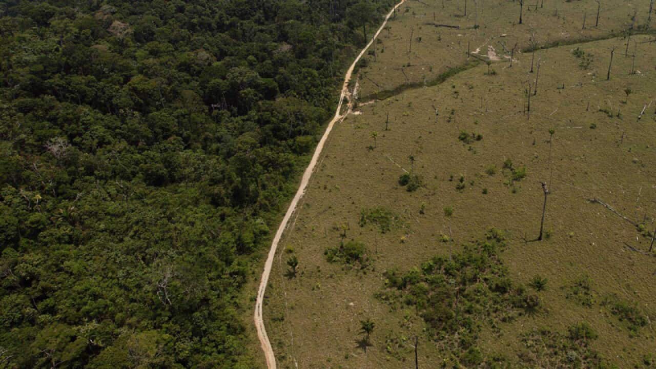 Amazon deforestation