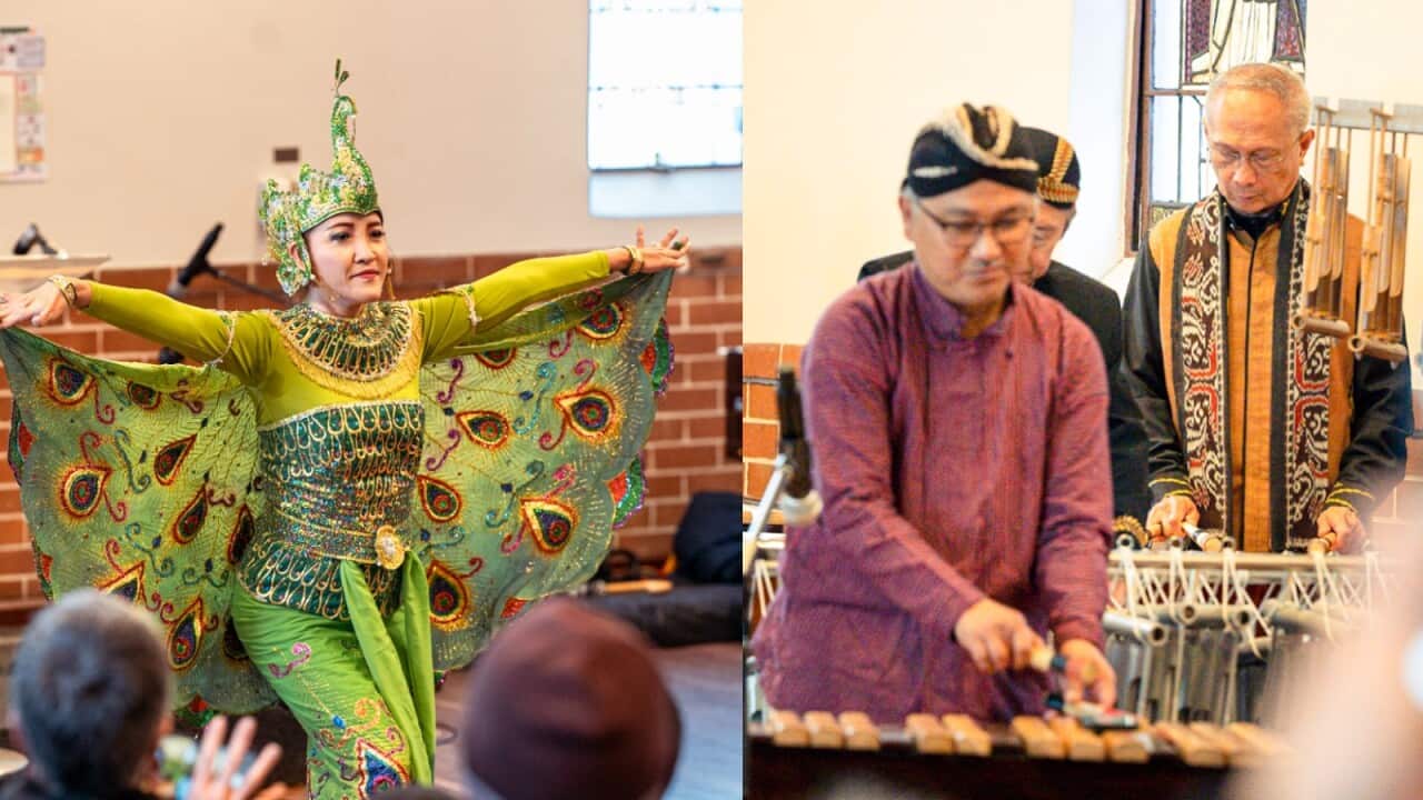 cultural performances at Kingsford Spring Festival 2022.jpg