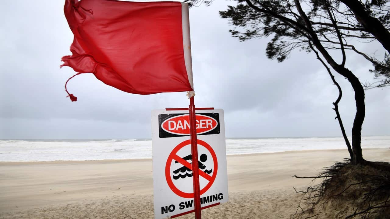 Red flag and “No swimming” danger sign on a windy beach with rough surf.