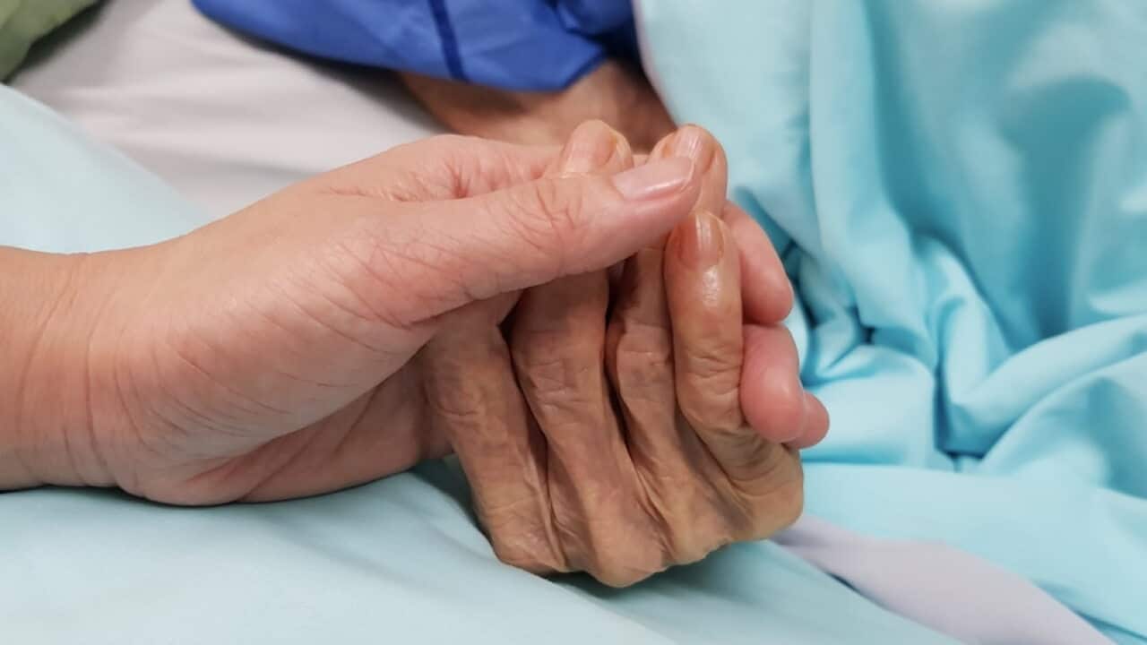 Annastacia Palaszczuk confirmed her government will not legalise voluntary assisted dying before the state election.