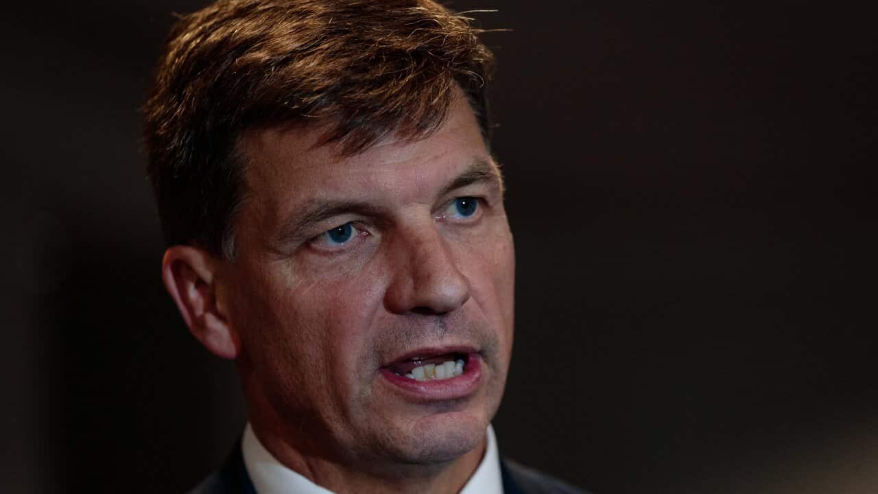Federal Minister for Energy and Emissions Reduction Angus Taylor.