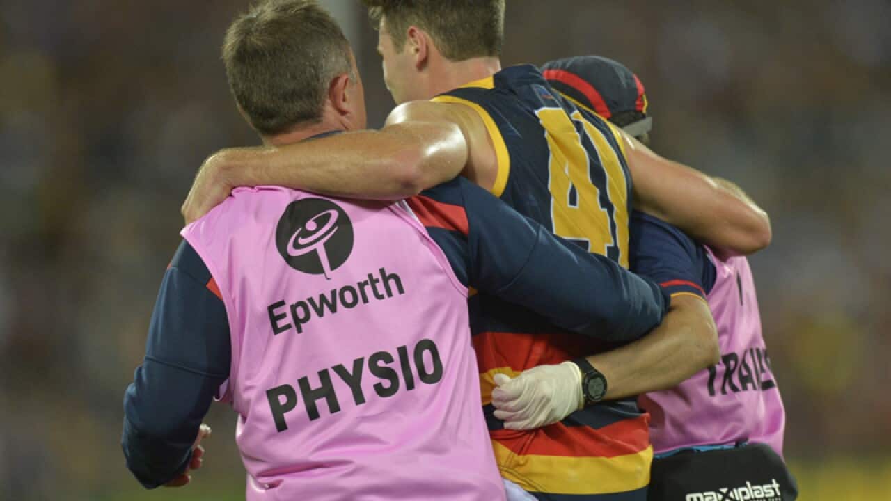 Mitch McGovern of the Crows is injured
