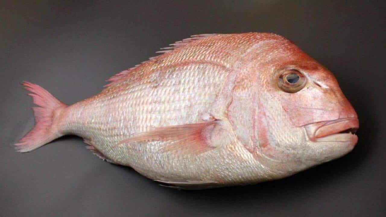 Image for read more article 'READ MORE'