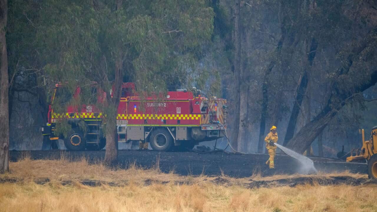 VICTORIA BUSHFIRES