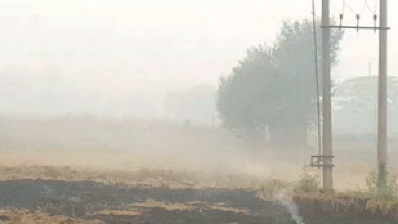 Stubble burning