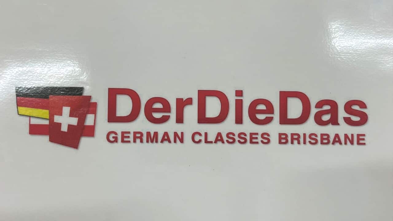 DerDieDas open.jpeg