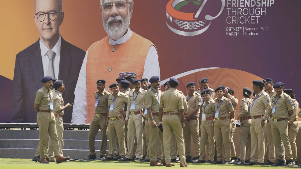 India Australia Cricket