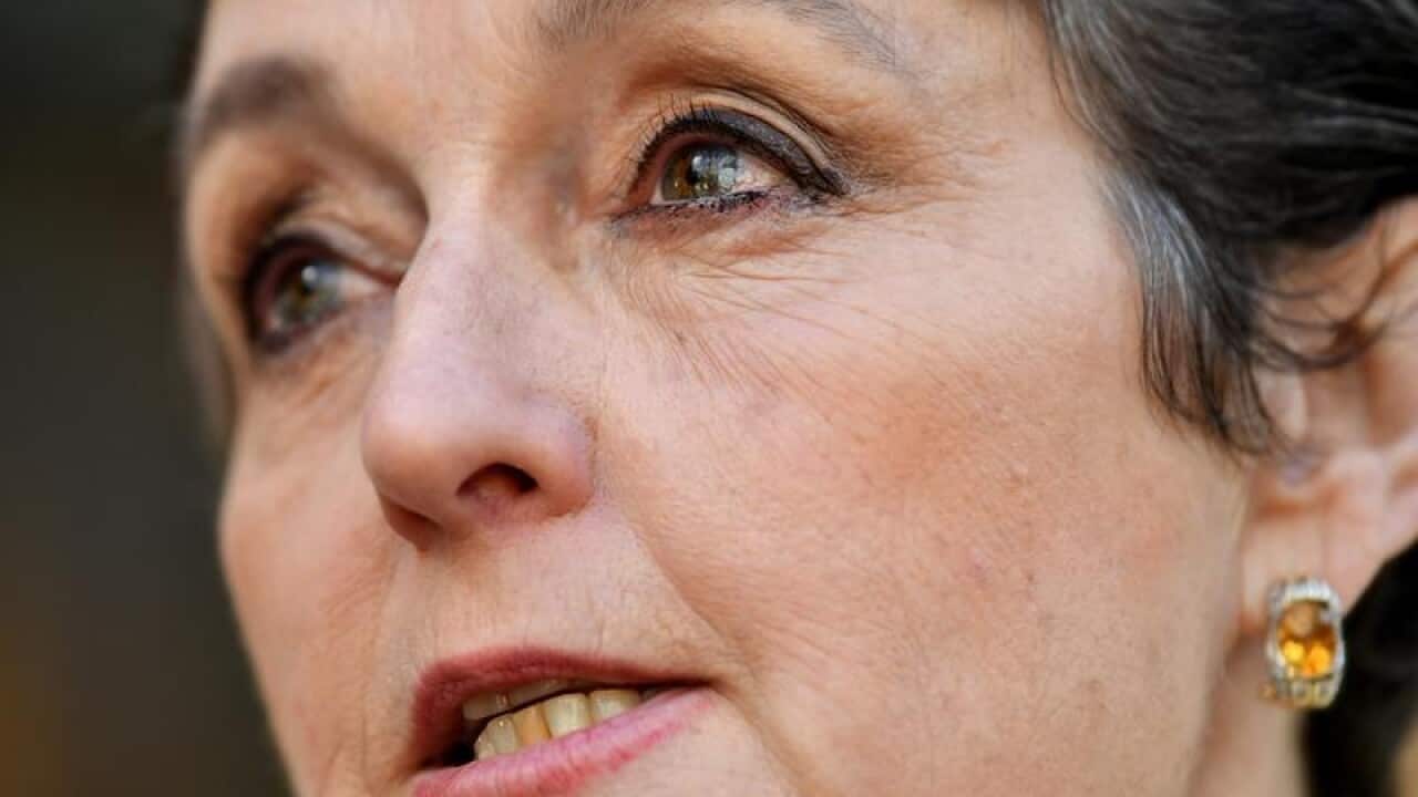 NSW Minister for Social Housing Pru Goward speaks.