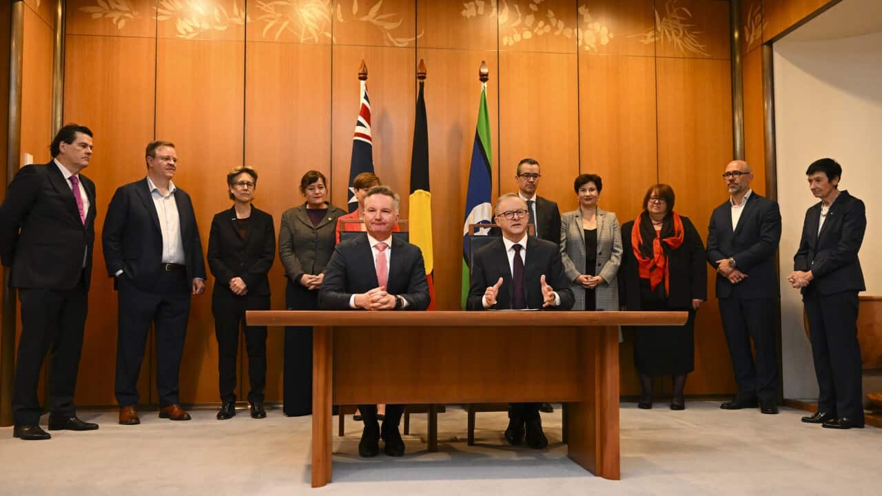 Immigration Minister Chris Bowen (left) and Prime Minister Anthony Albanese sit at a table as a group of people stand behind them.