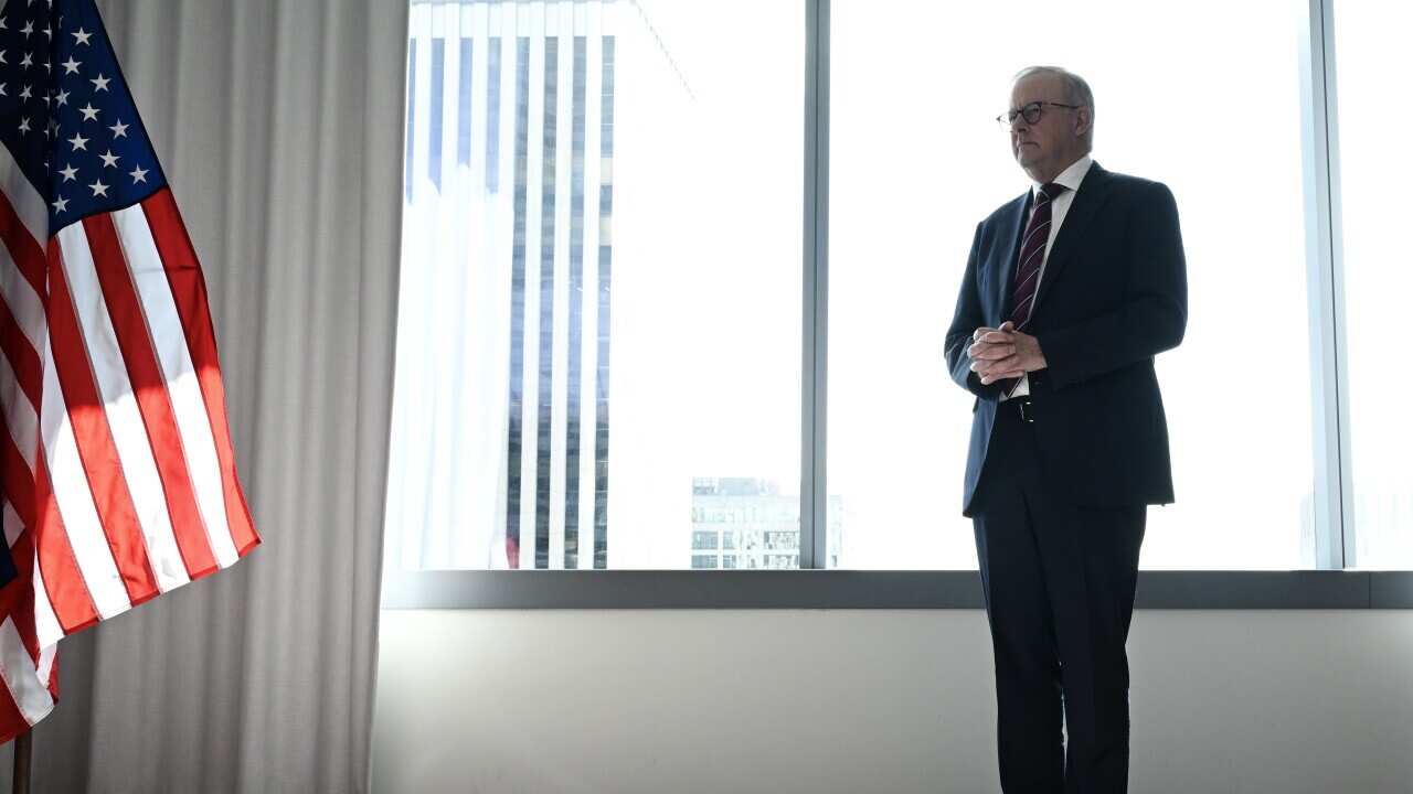 ANTHONY ALBANESE US VISIT