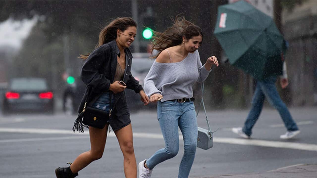 Heavy rain a strong winds are expected to impact Sydney through out the day
