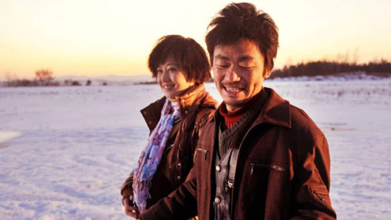 Mr-Tree_627_1771497926