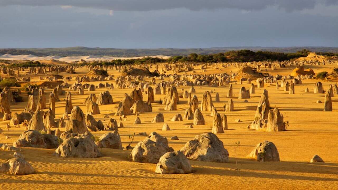 Nambung National Park