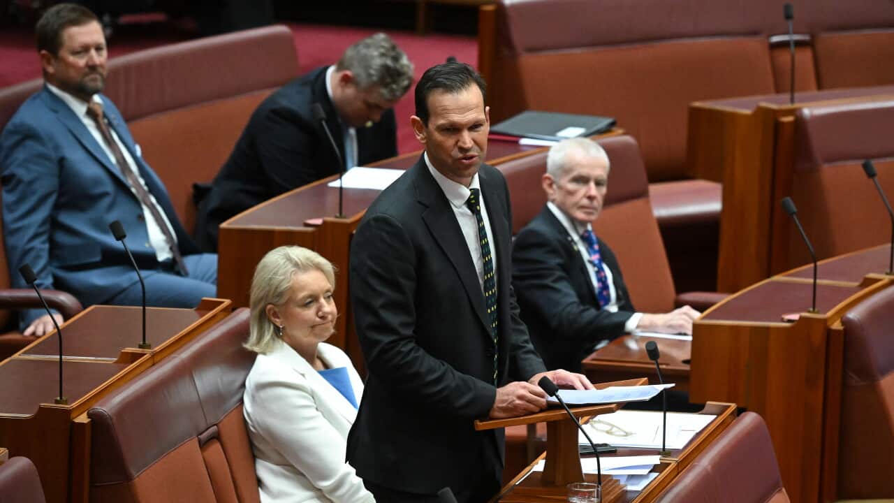 MATT CANAVAN BUDGET REPLY