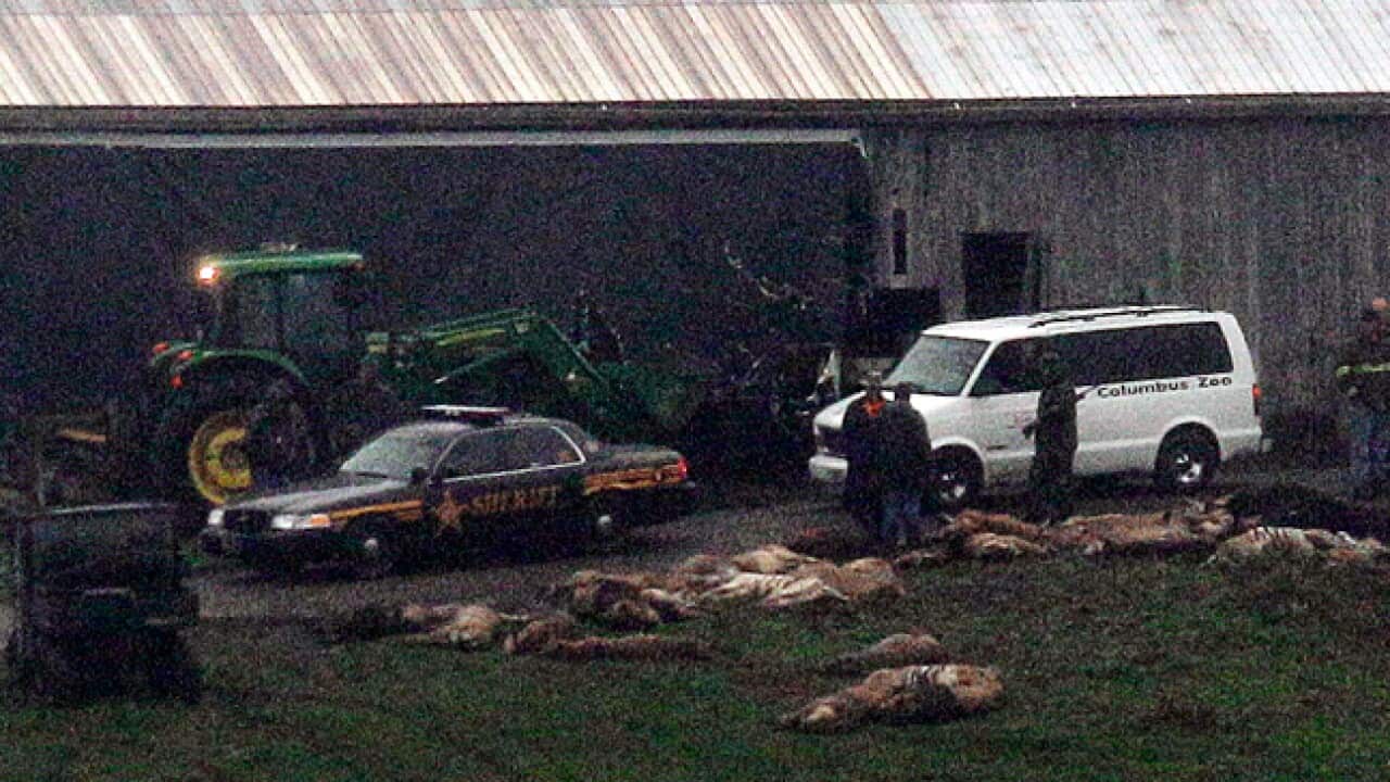 exotic_animals_ohio_111020_B_AAP_1040843914