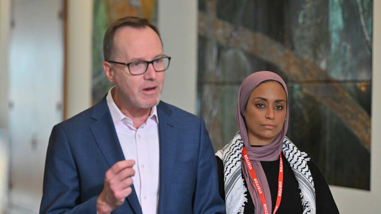 DAVID SHOEBRIDGE GAZA PETITION PRESSER