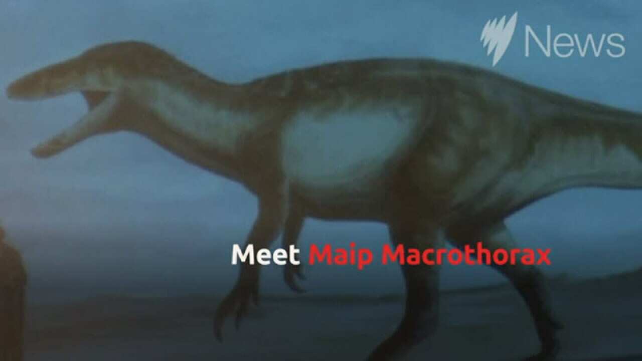 거대 공룡 화석 발견/ Meet the dinosaur with 40 centimetre blade-like claws