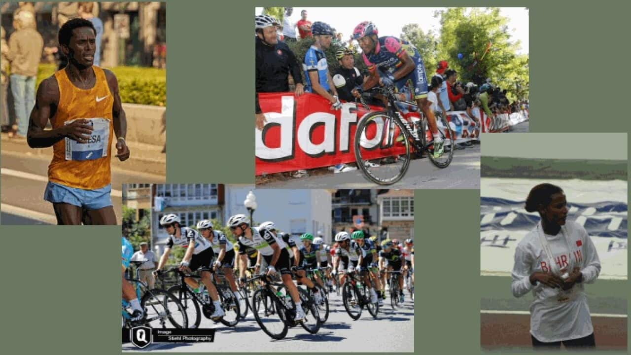 Weekly Sport