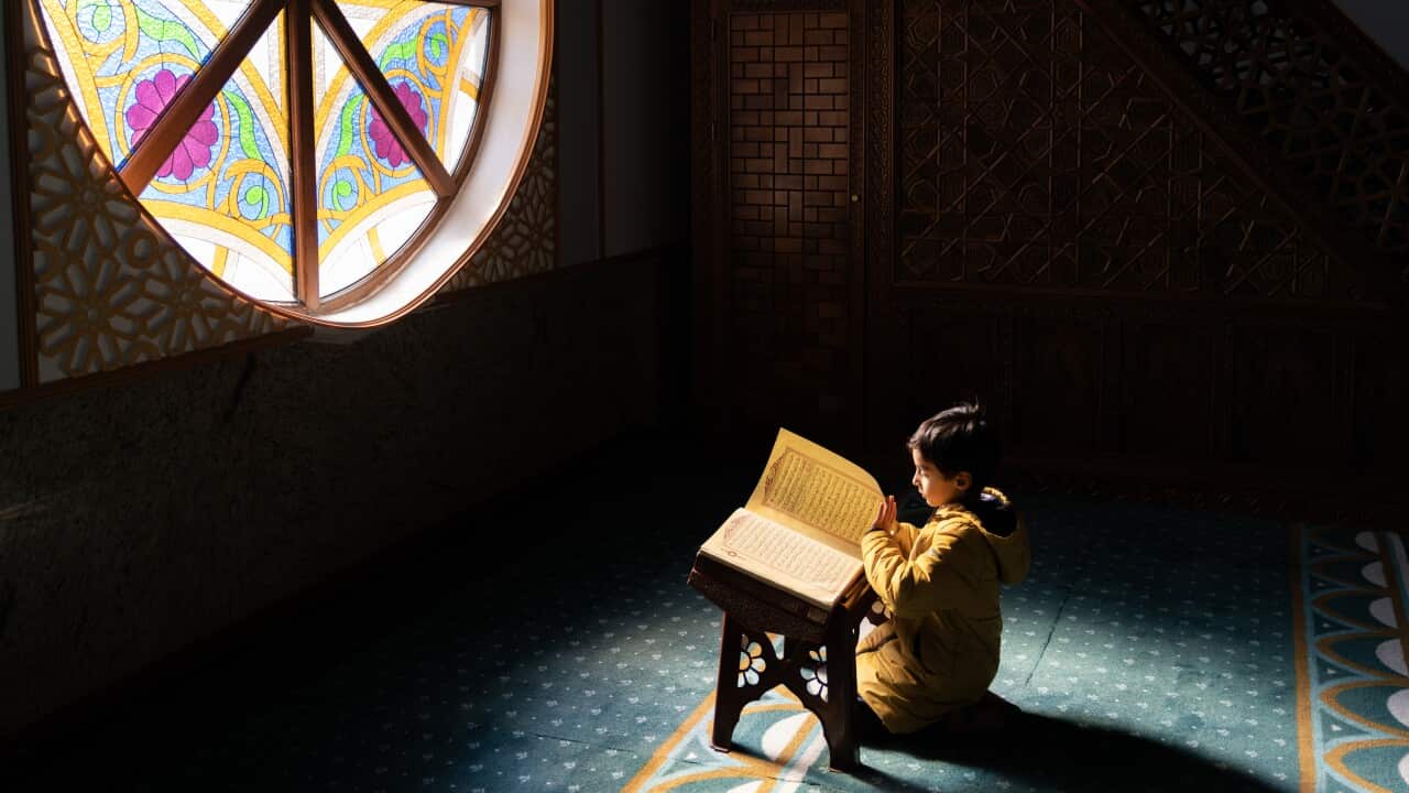 Image for read more article 'READ MORE'