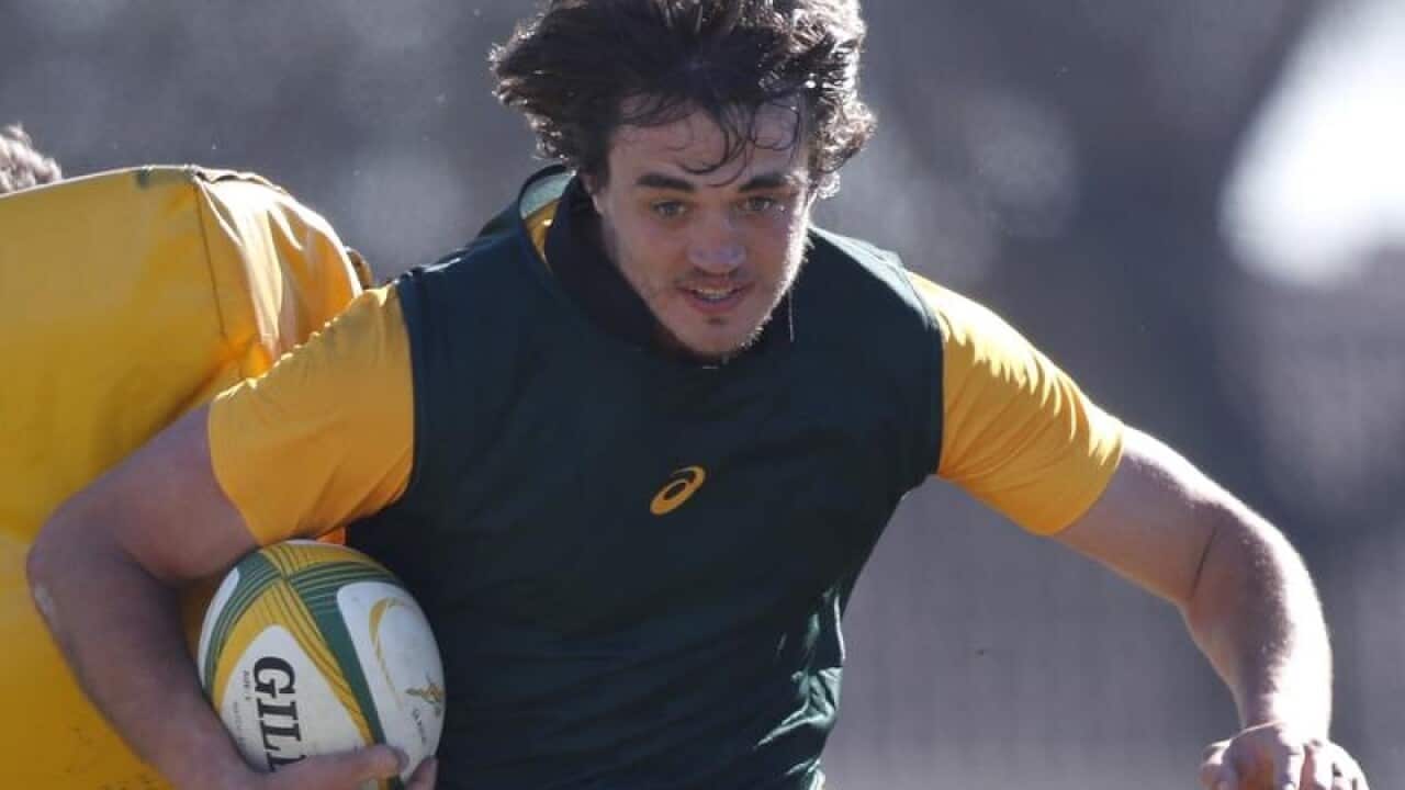 Springbok lock captain Franco Mostert