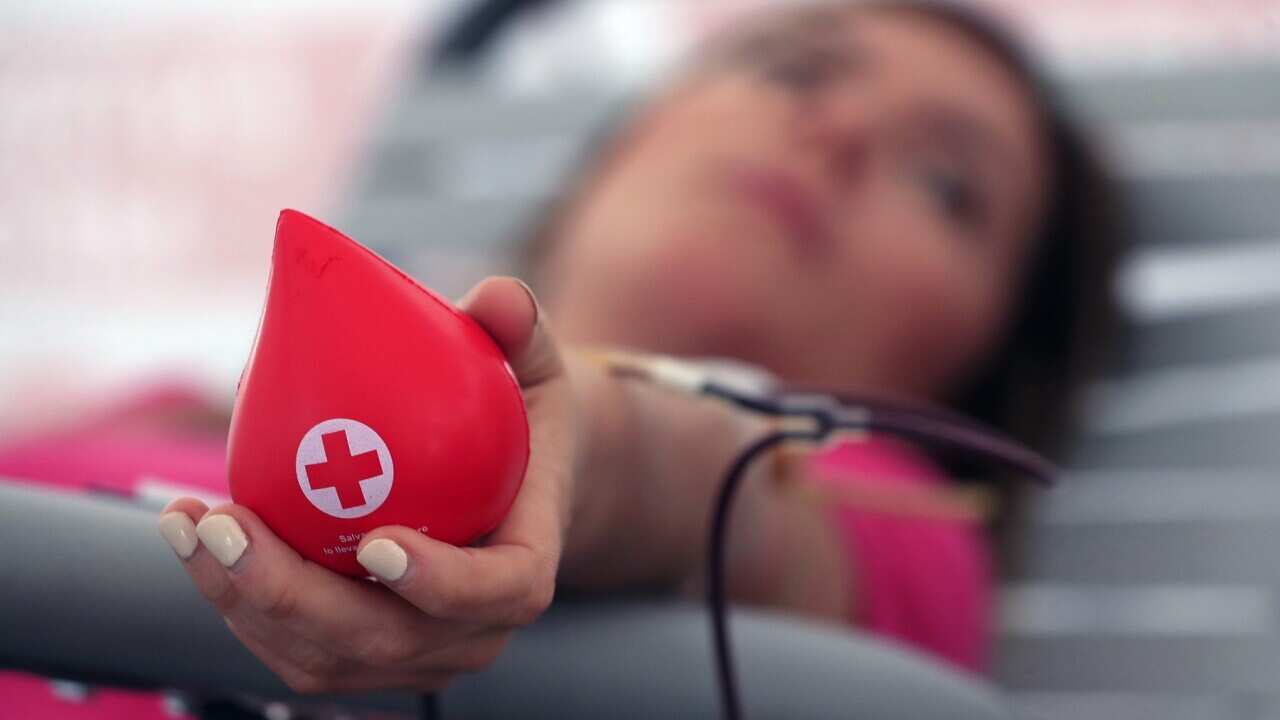 Image for read more article 'READ MORE'