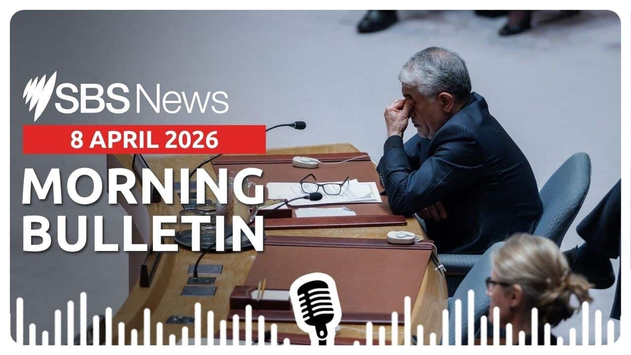 Morning Bulletin Image - 8 April 2026.jpg