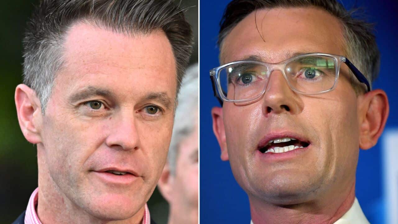 CHRIS MINNS DOMINIC PERROTTET DIPTYCH