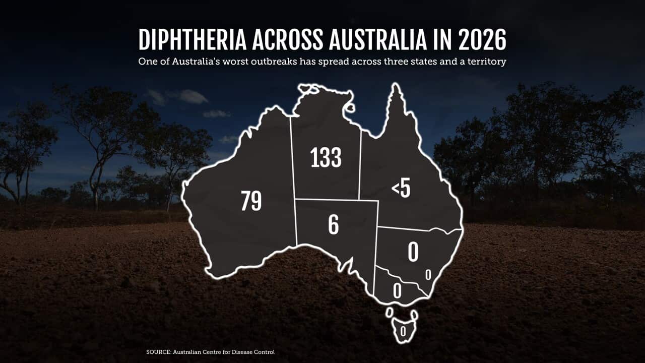 DIPHTHERIA GRAPHIC