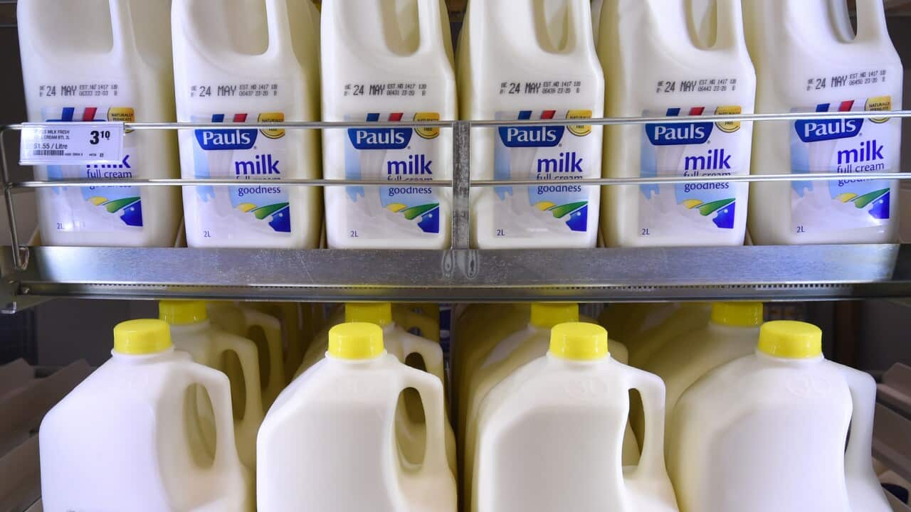 Milk bottles in a supermarket in Everton Park in Brisbane's northern suburbs