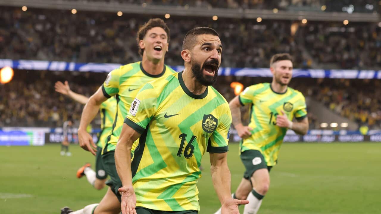 Image for read more article ''