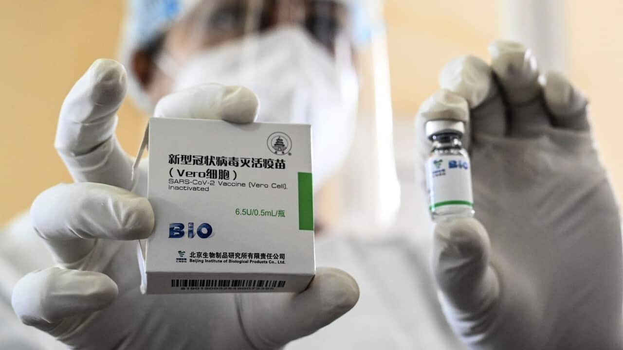 Chinese-made Sinopharm Covid-19 coronavirus vaccine (ISHARA S. KODIKARA-AFP via Getty Images)