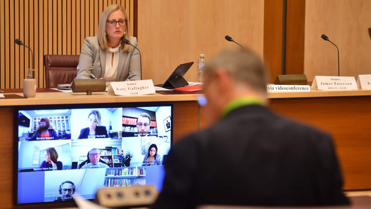 Shadow Minister for Finance Katy Gallagher questions Professor Brendan Murphy, as other senators watch on remotely