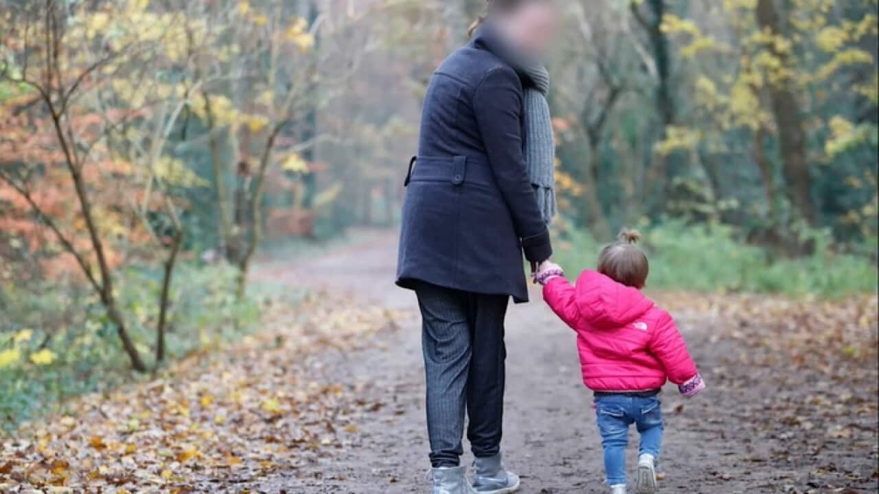 hague convention child abduction domestic violence dutch