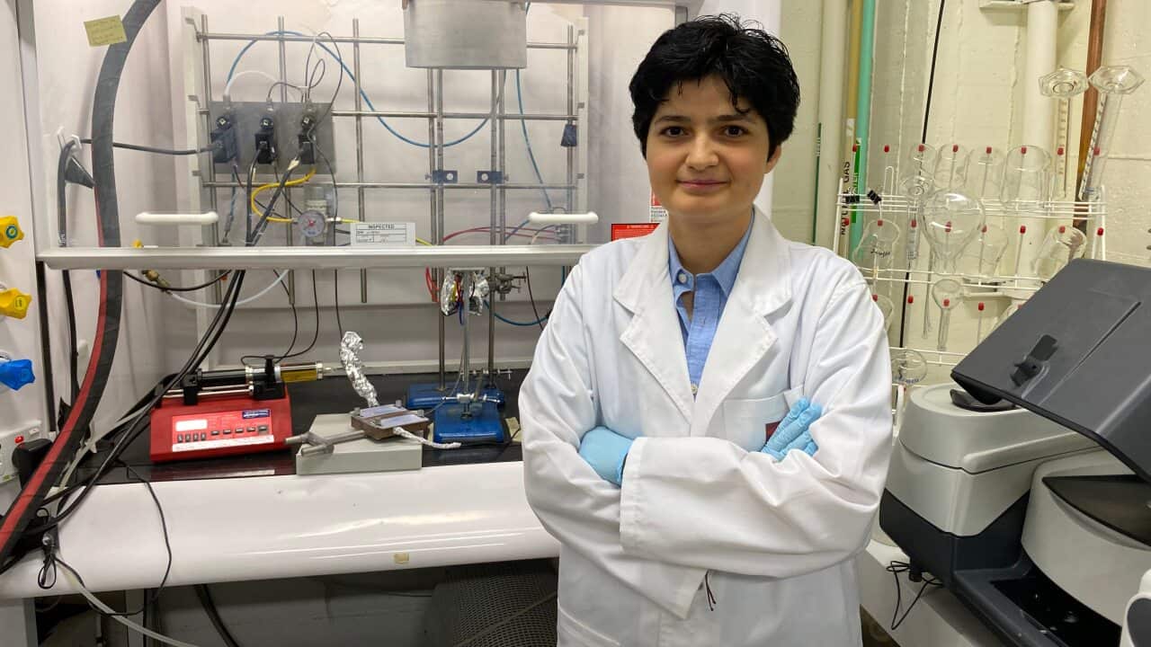 Dr Noushin Nasiri