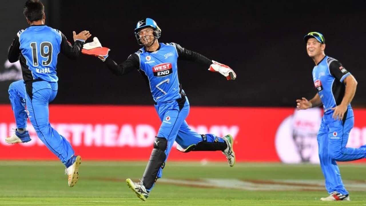 Adelaide teammates congratulate Rashid Khan.