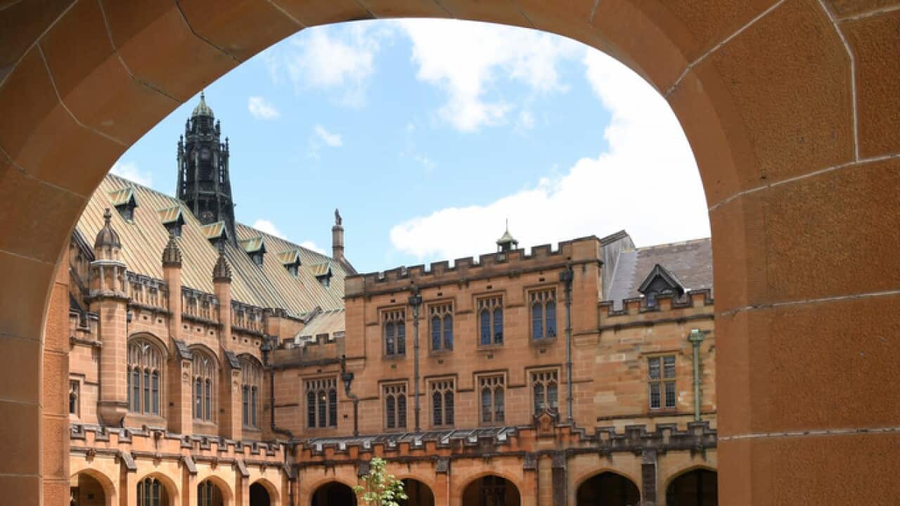 University of Sydney