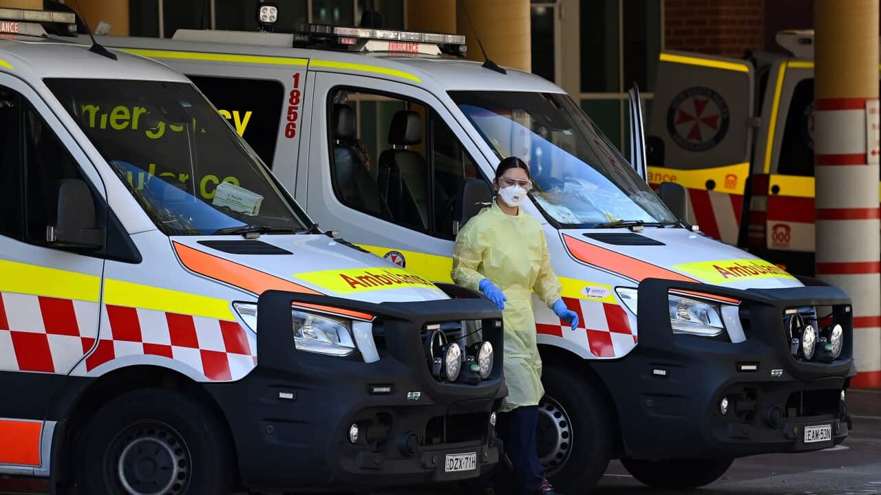 NSW CORONAVIRUS COVID19