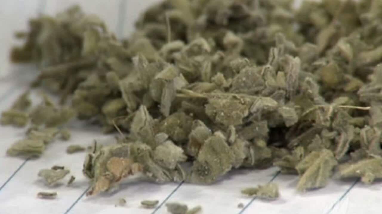 synthetic_marijuana_120330_b_cnn_806569163