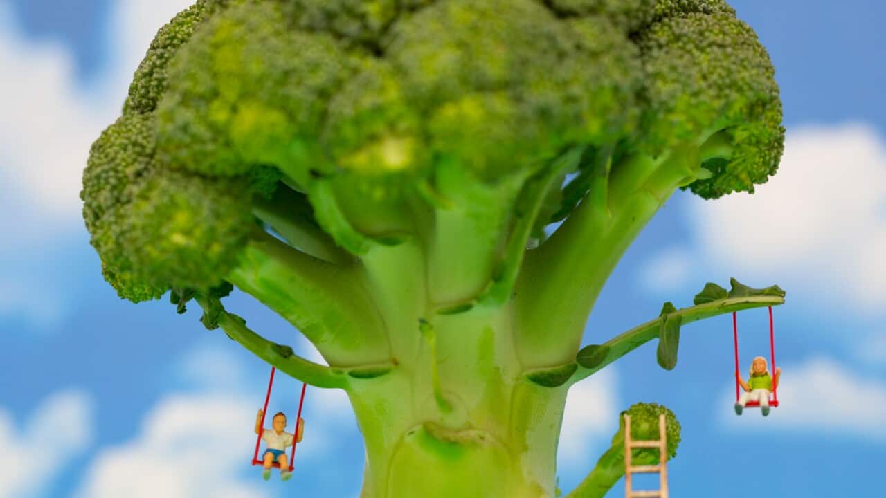 Feed the world my broccoli